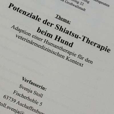 %{de_profession_title}-Shiatsu-Therapie für Hunde-Bild