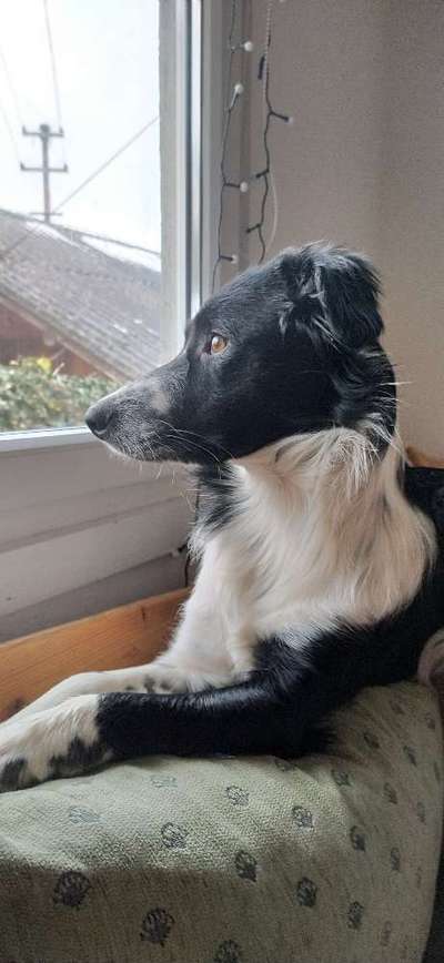 Lieblingsbild-Beitrag-Bild