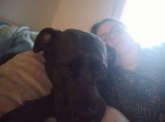 Lieblingsbild-Beitrag-Bild