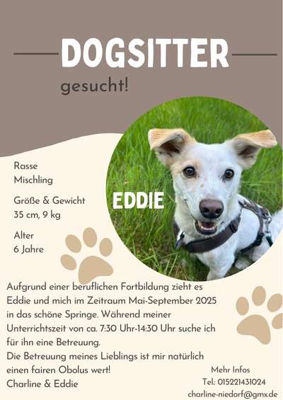 Hundetreffen-Dogsitter gesucht!-Bild