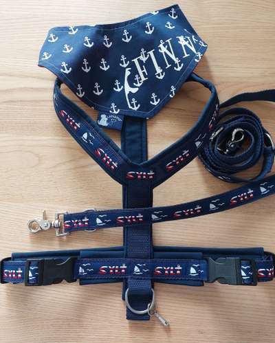 Wo sind die Golden Retriever Liebhaber?-Beitrag-Bild