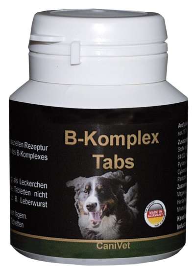 Vitamin B Komplex Präparate /Vestibularsyndrom-Beitrag-Bild