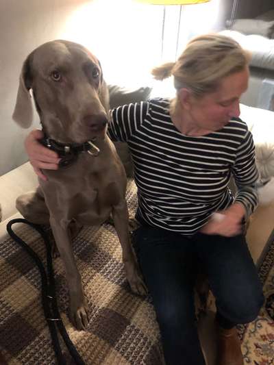 Hunderunde-Beitrag-Bild