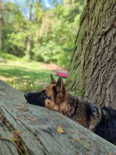 Moviestar-Pics!-Beitrag-Bild