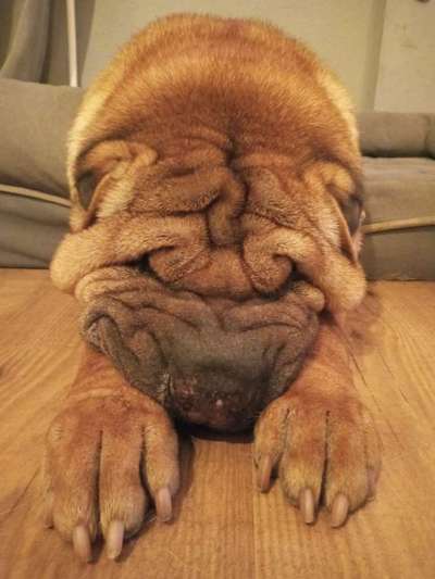 Her mit dem Grimassen-Beitrag-Bild