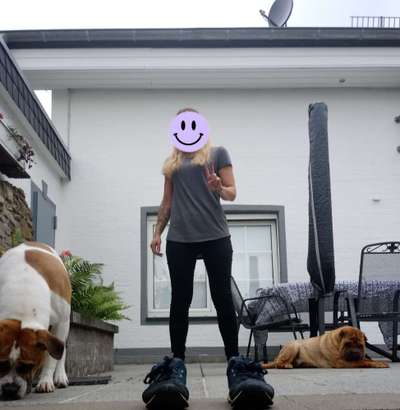 Hund"kreativ" in Szene gesetzt, Fotobomb u.a.-Beitrag-Bild
