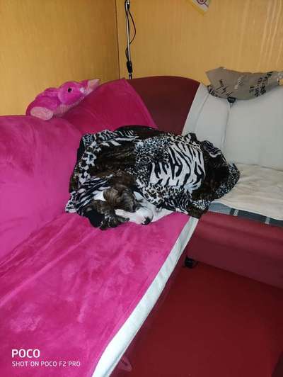 Challenge 21 - wo bin ich : )-Beitrag-Bild