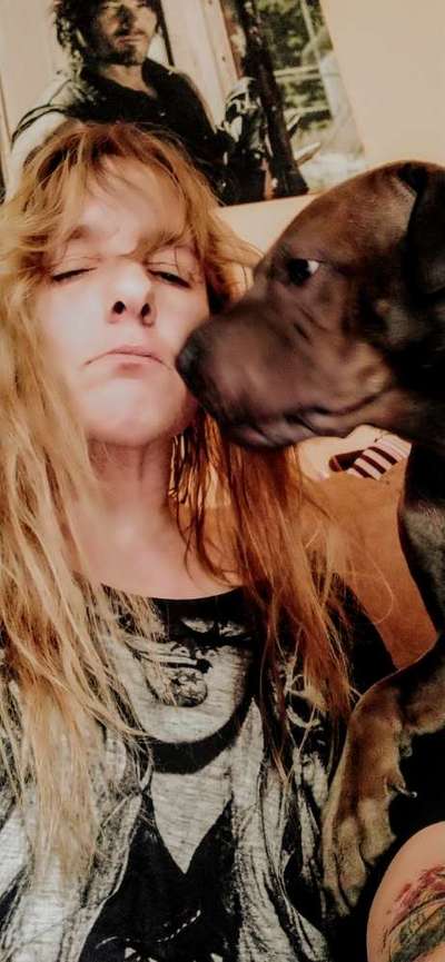 Rhodesian Ridgeback-Beitrag-Bild