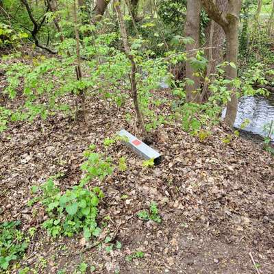 Giftköder-Rattenfallen-Bild