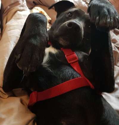 Foto Challenge 3-Beitrag-Bild