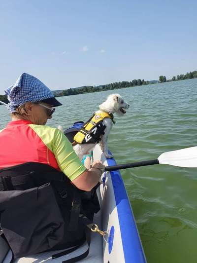 Urlaub im Spreewald - Kanu/bzw.Bootstouren-Beitrag-Bild