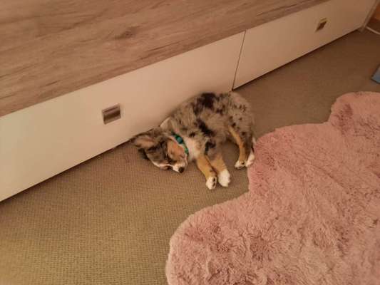 Lieblingsbild-Beitrag-Bild