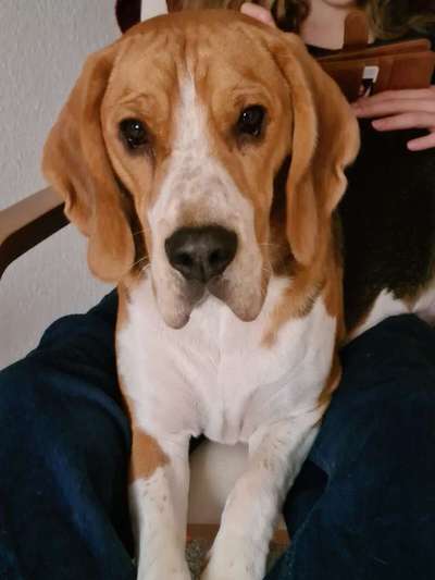 Fotochallange Nr. 57     PORTRÄT.   Beendet!!!!!!!!-Beitrag-Bild