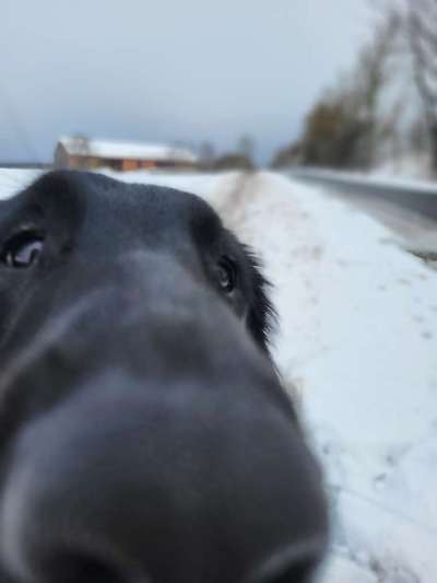 42. Handy Fotochallenge - Den richtigen Riecher haben-Beitrag-Bild