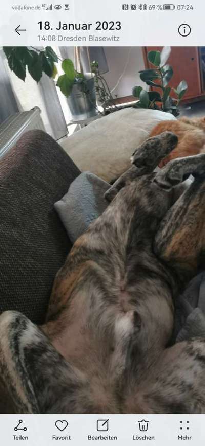 Kahle Stelle-Beitrag-Bild