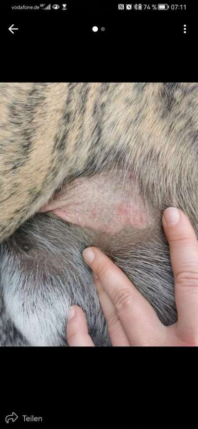 Kahle Stelle-Beitrag-Bild