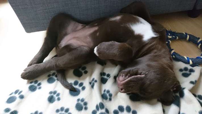 Fotochallenge Nr.65-Beitrag-Bild