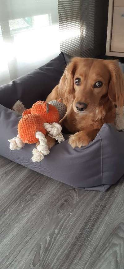 Lieblingsbild :D-Beitrag-Bild