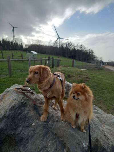 Challenge 30  Freundschaft-Beitrag-Bild