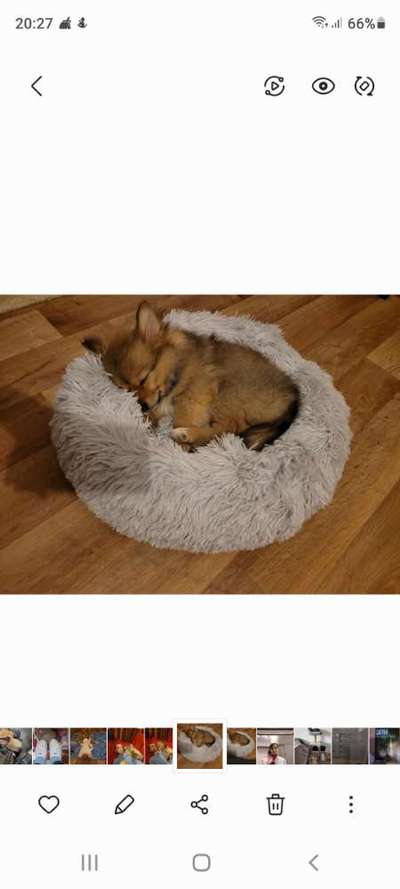 Ratespaß geht weiter-Beitrag-Bild