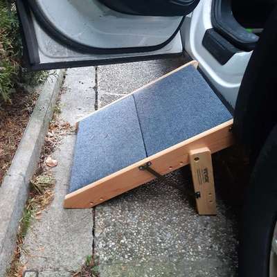 Treppe/Rampe für die Rückbank-Beitrag-Bild