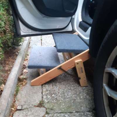 Treppe/Rampe für die Rückbank-Beitrag-Bild