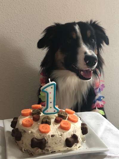 Fotochallange Nr. 57     PORTRÄT.   Beendet!!!!!!!!-Beitrag-Bild