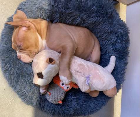 Sie werden so schnell erwachsen ...-Beitrag-Bild