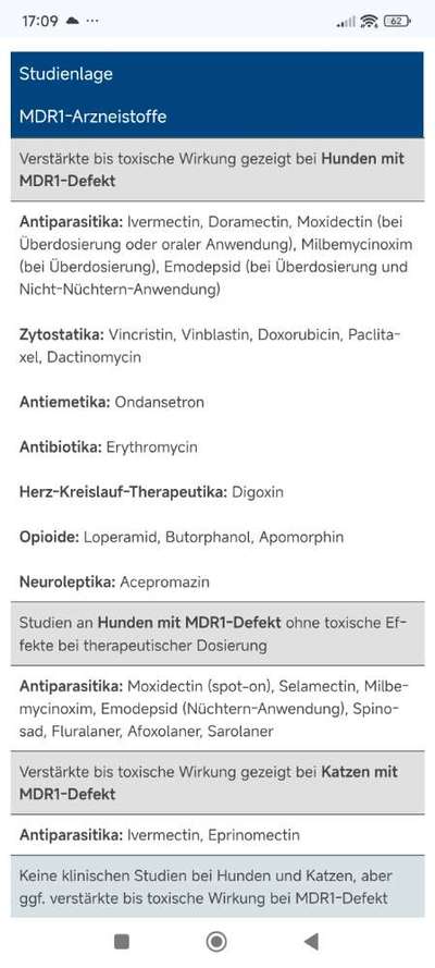 Wurmkur-Beitrag-Bild