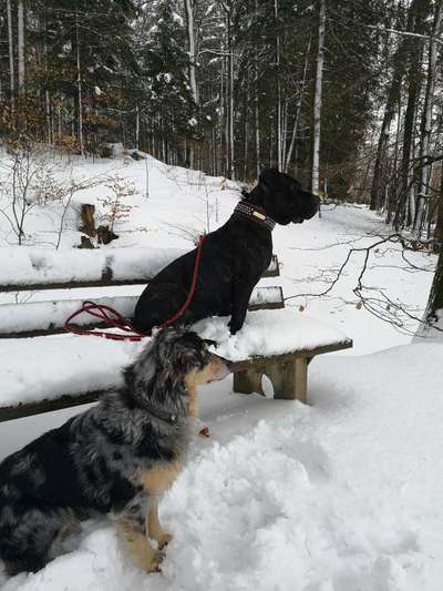 Schnee Foto-Beitrag-Bild