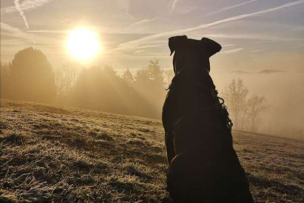 Fotowettbewerb Natur-Beitrag-Bild