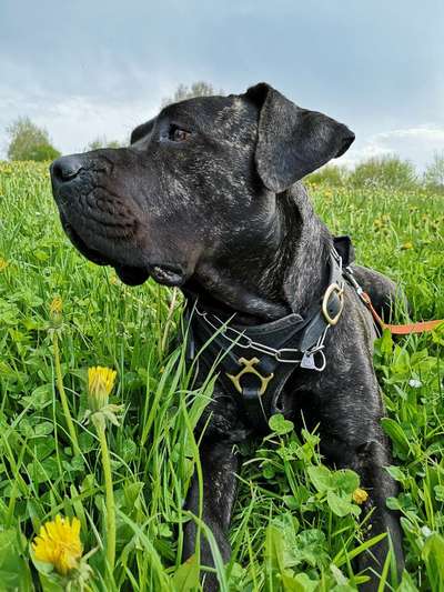 Fotowettbewerb Natur-Beitrag-Bild