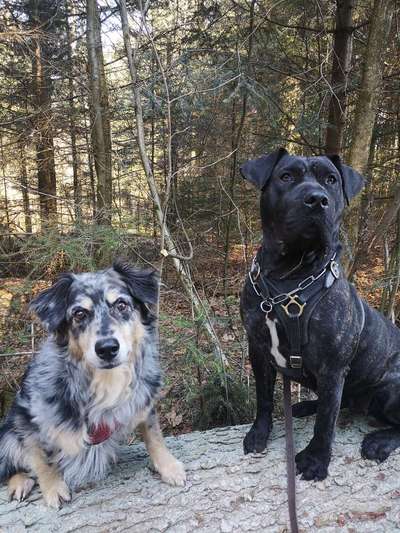 Foto Challenge Nr. 79-Beitrag-Bild