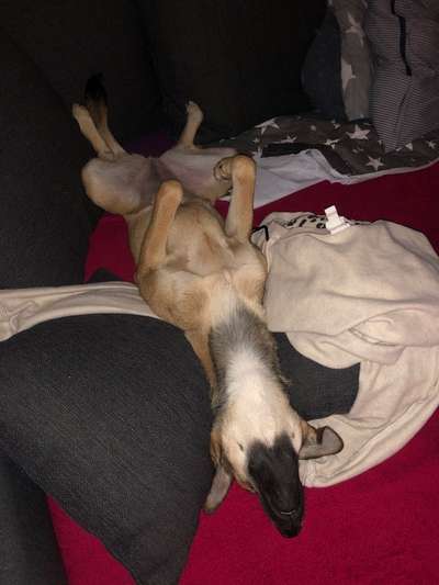 Die unbequemsten und lustigsten Schlafpositionen-Beitrag-Bild