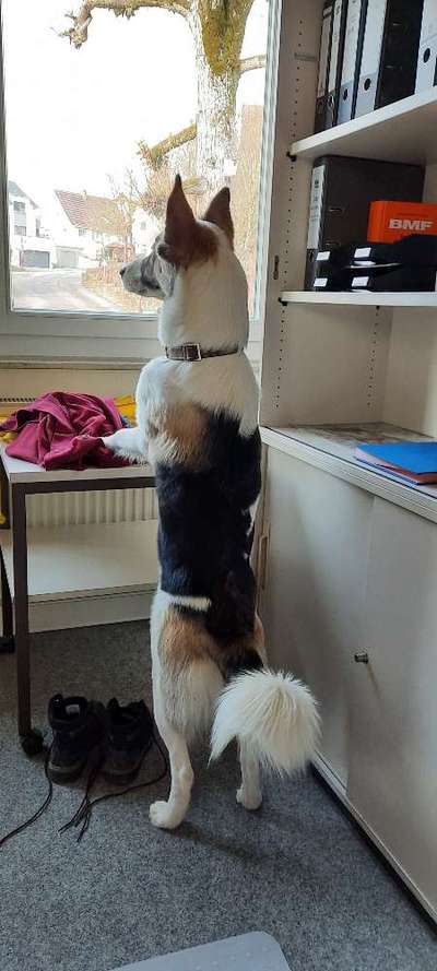 Lustige Grimassen & verrückte Posen-Beitrag-Bild