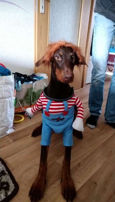 Fotochallange Nr.53 "HALLOWEEN"-Beitrag-Bild