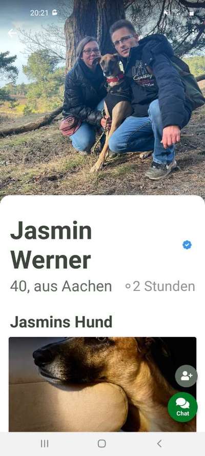 Optimales Halsband finden-Beitrag-Bild