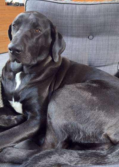 Wo sind denn hier die Broholmer?-Beitrag-Bild