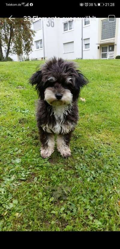 Erstes Bild-Beitrag-Bild