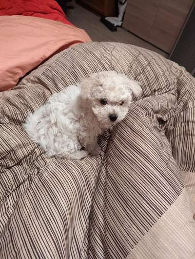 28. Handy-Fotochallenge - Damals und heute-Beitrag-Bild