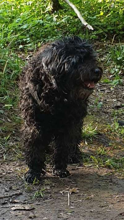 Fotochallenge Nr. 56 - geliebte Senioren-Beitrag-Bild