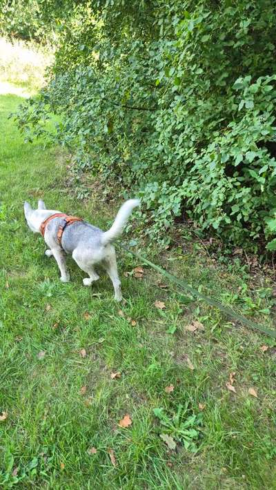 58.Impulskontrollchallenge " Geduld haben !"-Beitrag-Bild