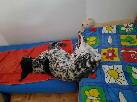 Die unbequemsten und lustigsten Schlafpositionen-Beitrag-Bild