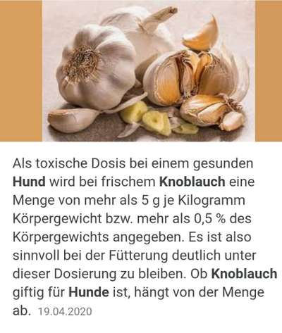 Zeckenstich - Tierarzt nötig?-Beitrag-Bild