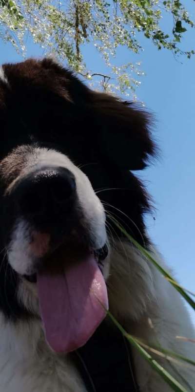 23. Handy Foto-Challenge-Beitrag-Bild