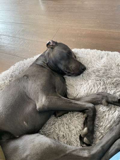 Erfahrung mit Wolkenbett-Beitrag-Bild