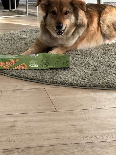 Fell kürzen wegen Hitzeempfindlichkeit-Beitrag-Bild