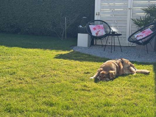 Verdacht auf Rückenschmerzen, Entzündung oder Verspannung?-Beitrag-Bild