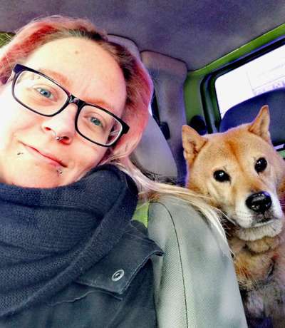 Shiba Inu Erfahrungen?-Beitrag-Bild