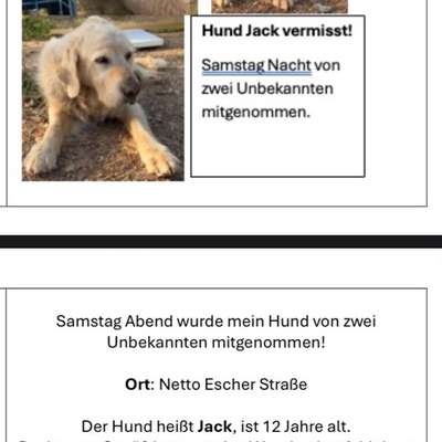 Suchmeldung-Jack-Bild